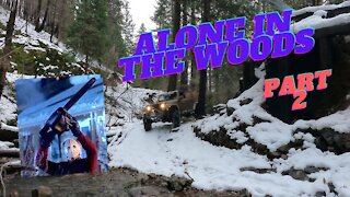 Alone In The Woods - Part 2 Do We Make It Home??? **Don't Forget Your Chainsaw!**