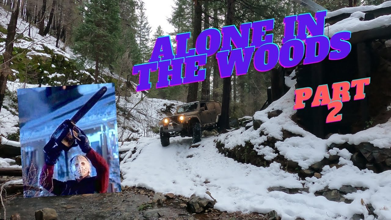 Alone In The Woods - Part 2 Do We Make It Home??? **Don't Forget Your Chainsaw!**