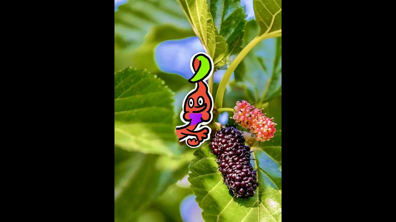 Pikmin Don’t Have It Easy