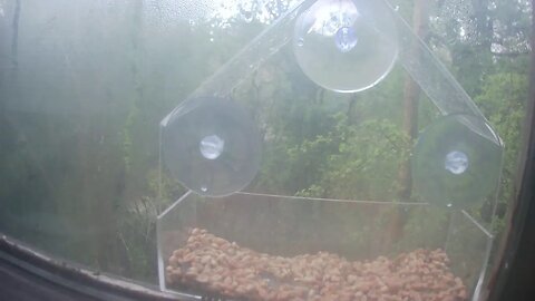 day 2 of window view