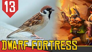 Domando PARDAIS GIGANTES - Dwarf Fortress Nub #13 [Gameplay PT-BR]