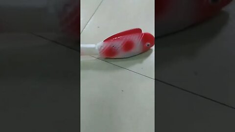 Flashing a Free Fish (Gangnam Style)