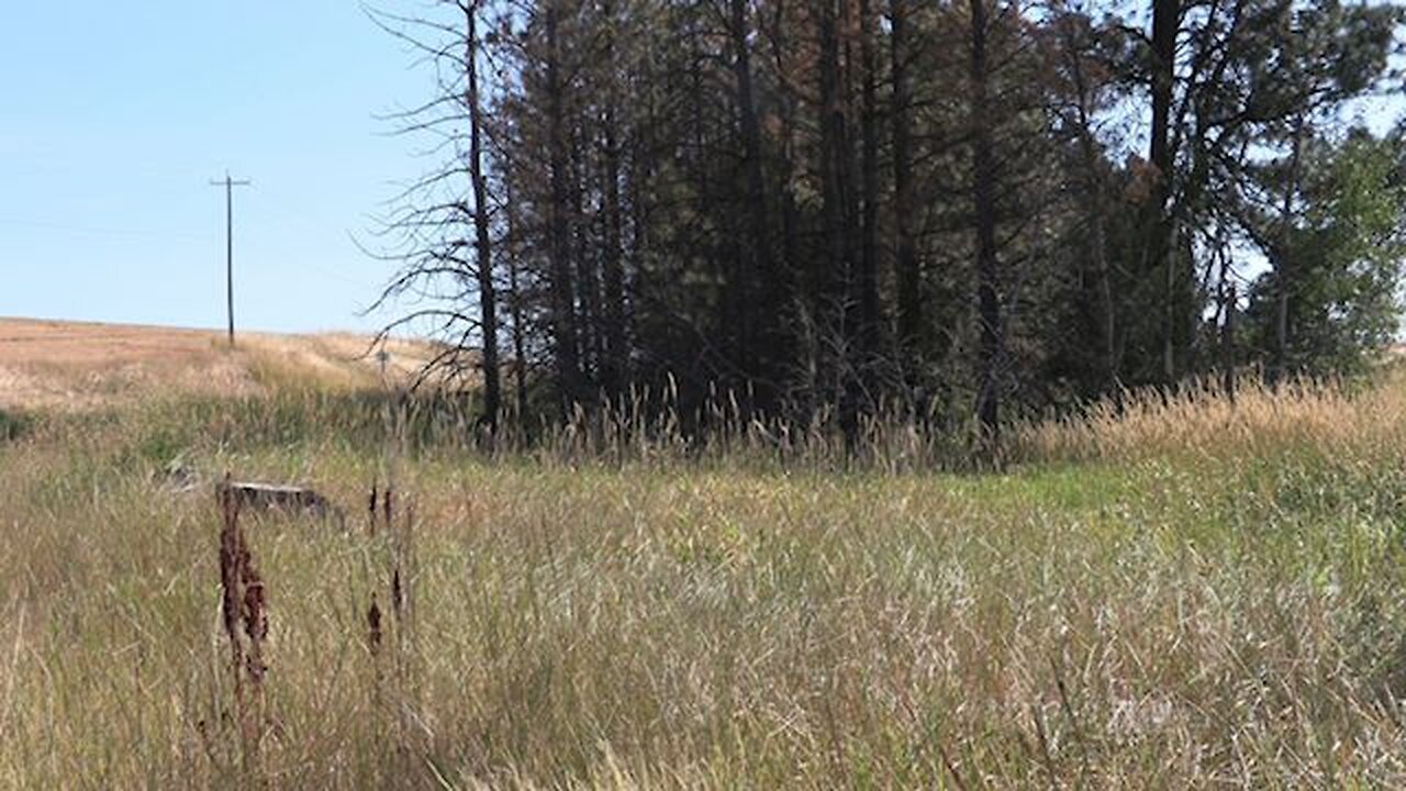 creating defensible space around your property (shadow banned video in youtube)