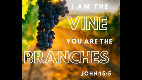 John 15 Read and Explained