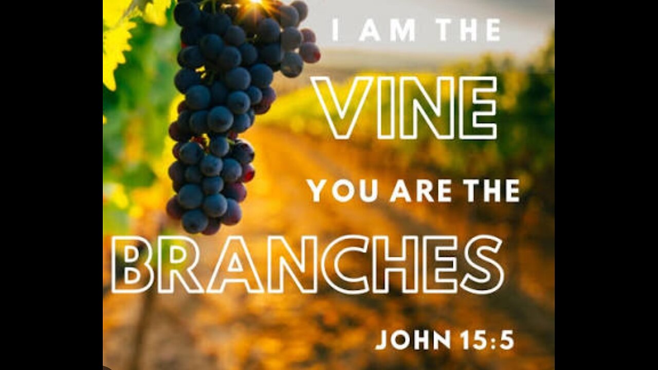 John 15 Read and Explained