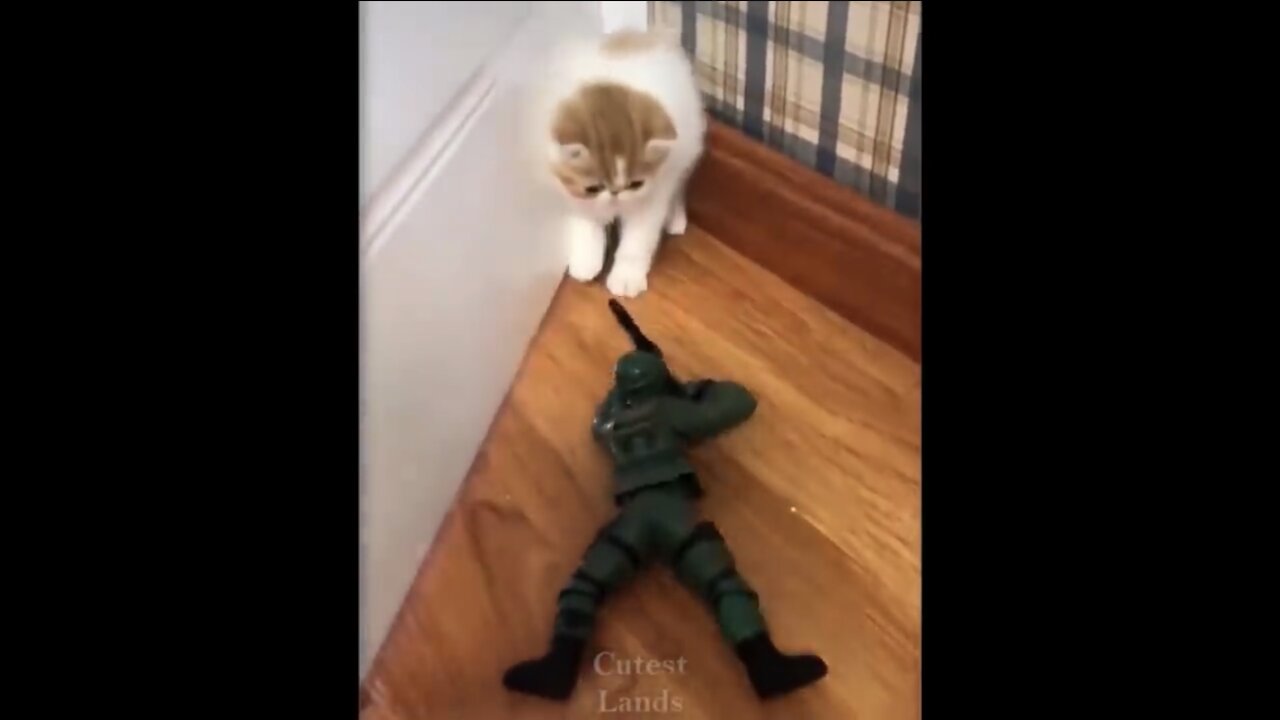 Cute And Funny Pets | Try Not To Laugh To These Pets Compilation #7