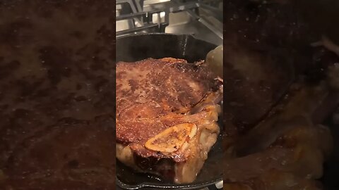 Carnivore Diet | Jon Zherka | #shorts