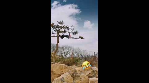 Monkey just want to play🤣🤣