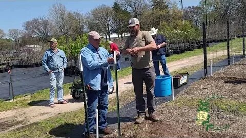 Blackberries With TexasPrepper2