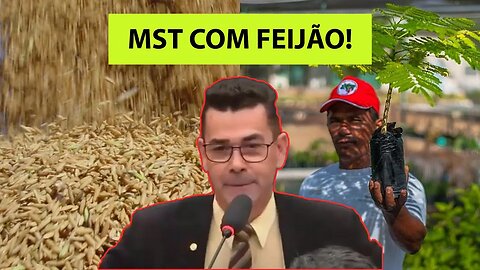 Dá em árvore?! Deputado afirma que “agronegócio não produz arroz”, mas sim o MST