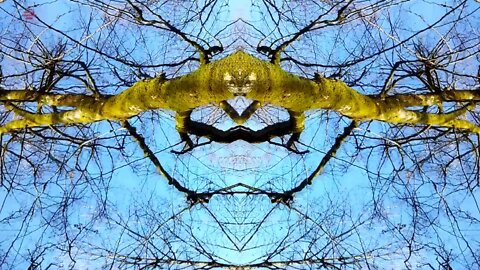 432 Hertz Beatitude Attune - Meditation Music