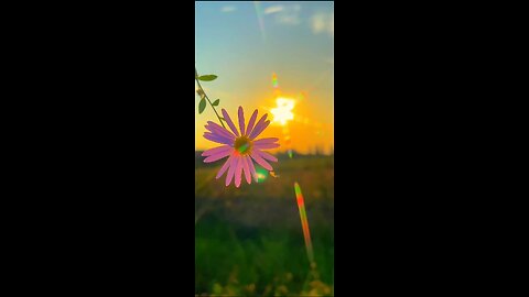 Beauty of nature Outside beauty subscribe, like comment share 🥰🥰🥰