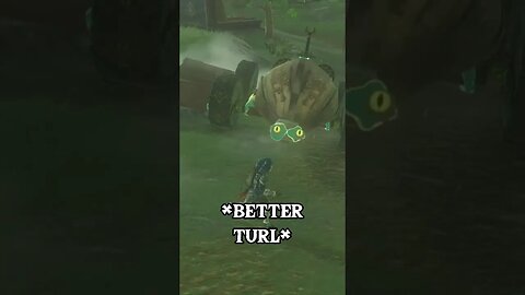 Building A Turtle In Zelda TOTK #zelda #tearsofthekingdom #shorts