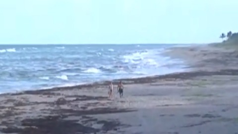Palm Beach County beaches to open Wednesday, no high levels of red tide found