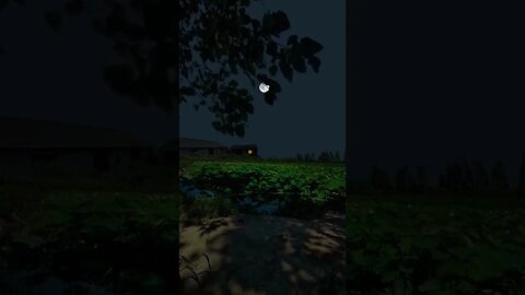 Silent Night Music and Night View | Focus Music | Latest Status