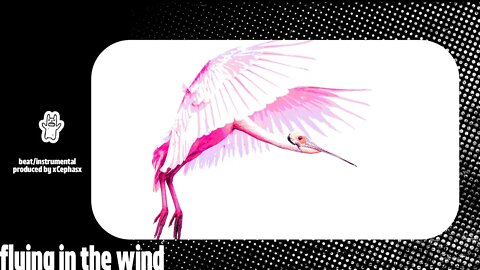 flying in the w prod xCephasx country + lil tracy + lil nas x + lil uzi vert + guitar + cold hart