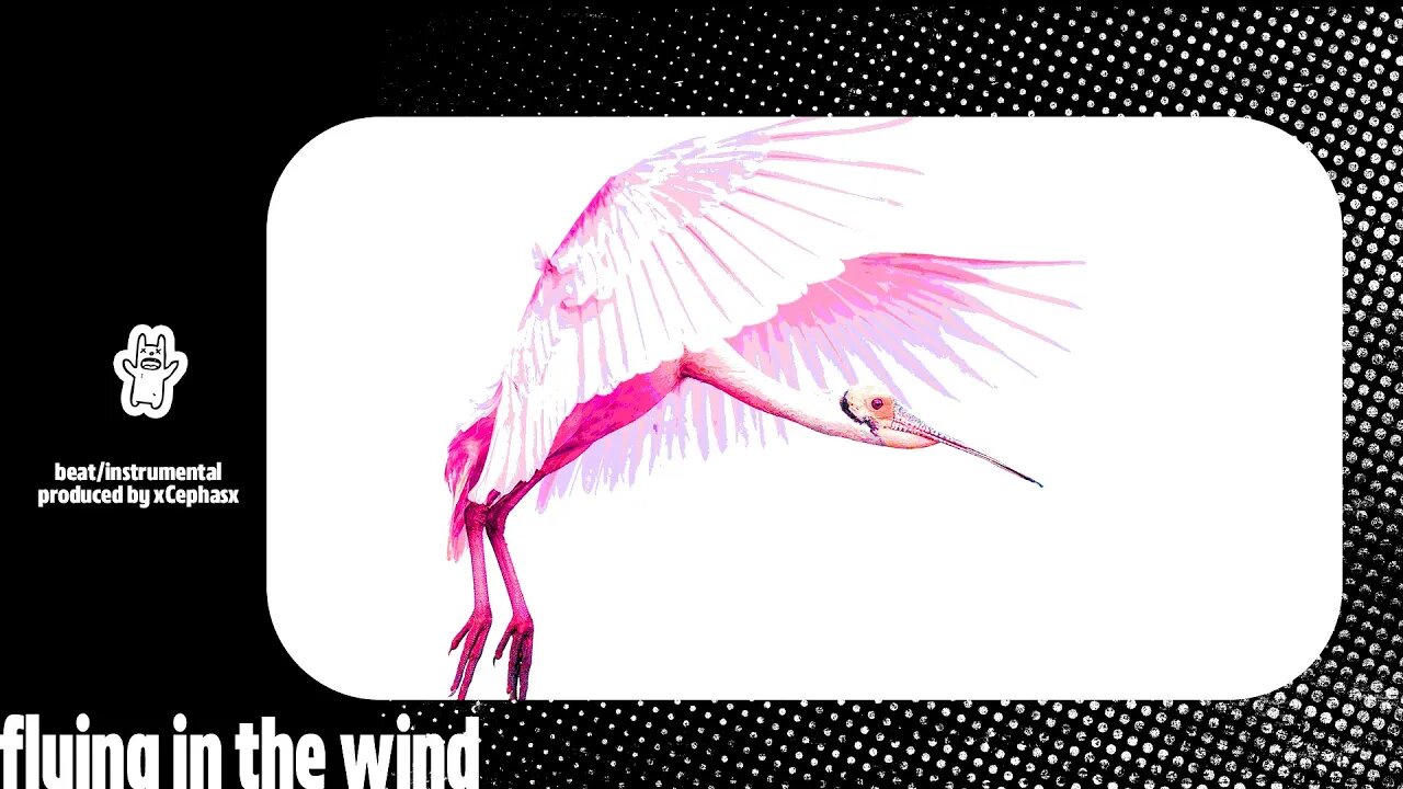 flying in the w prod xCephasx country + lil tracy + lil nas x + lil uzi vert + guitar + cold hart