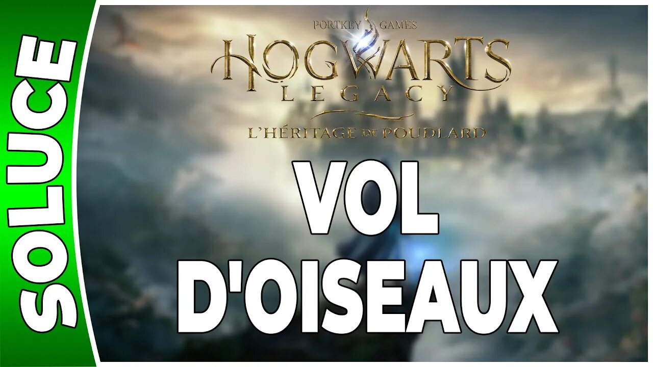 Hogwarts Legacy : l'Héritage de Poudlard - VOL D'OISEAUX - Annexe 64 - [FR PS5