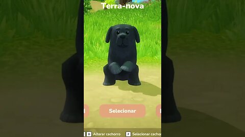 ADOTANDO O CACHORRO DA FAZENDA - Everdream Valley