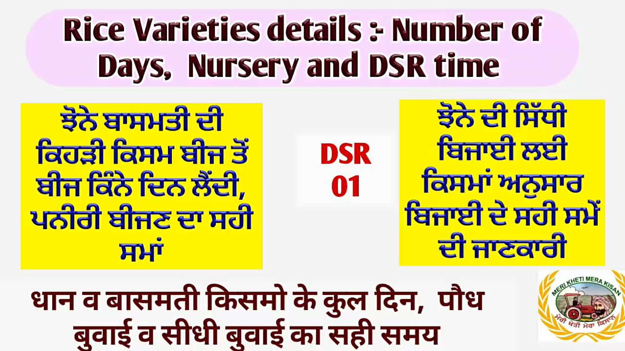 Rice Varieties :- No of days, Nursery and DSR time! ਝੋਨੇ ਬਾਸਮਤੀ ਕਿਸਮਾ ਦੀ ਬਿਜਾਈ ਤੇ ਸਿੱਧੀ ਬਿਜਾਈ ਸਮਾਂ