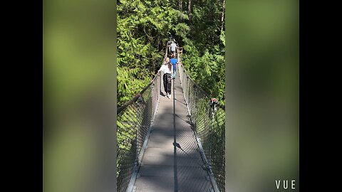 “该吃吃，该喝喝，啥事不往心里搁” 阳光明媚☀️的日子，到天然氧吧里清肺清心💜