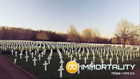 Immortality 4