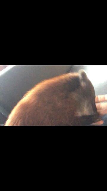 Randi won’t leave me alone