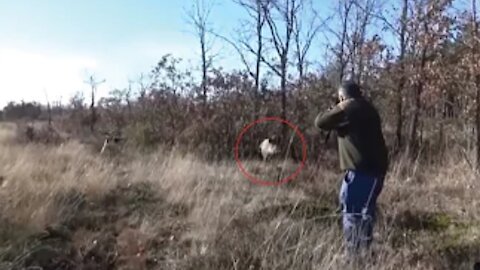 Top 5 Wild Boar Attacks (Best Wild Boar Hunting by Russian)