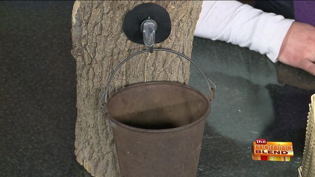 Getting a Lesson in Maple Sugaring!