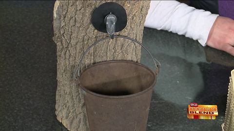 Getting a Lesson in Maple Sugaring!