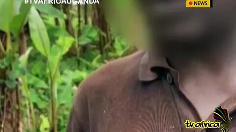 DRC TERROR AFTERMATH: Kishishe survivors haunted by nightmare of M23 occupation