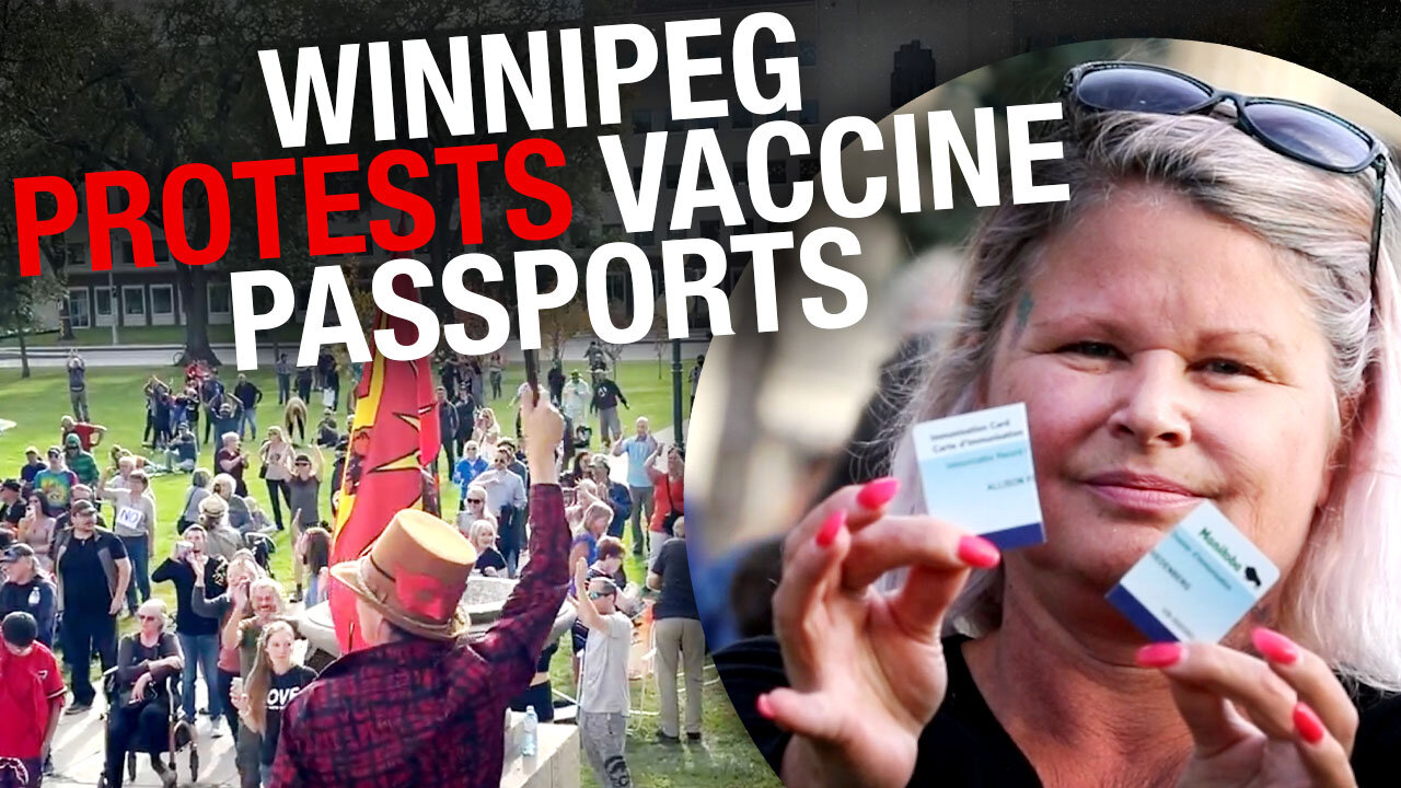 Manitobans protest for less government control, more freedom in Winnipeg