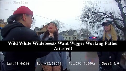 Wild White Wildebeests Work Together To Get Wigger Baby Daddy Locked Up, Then This Happens!