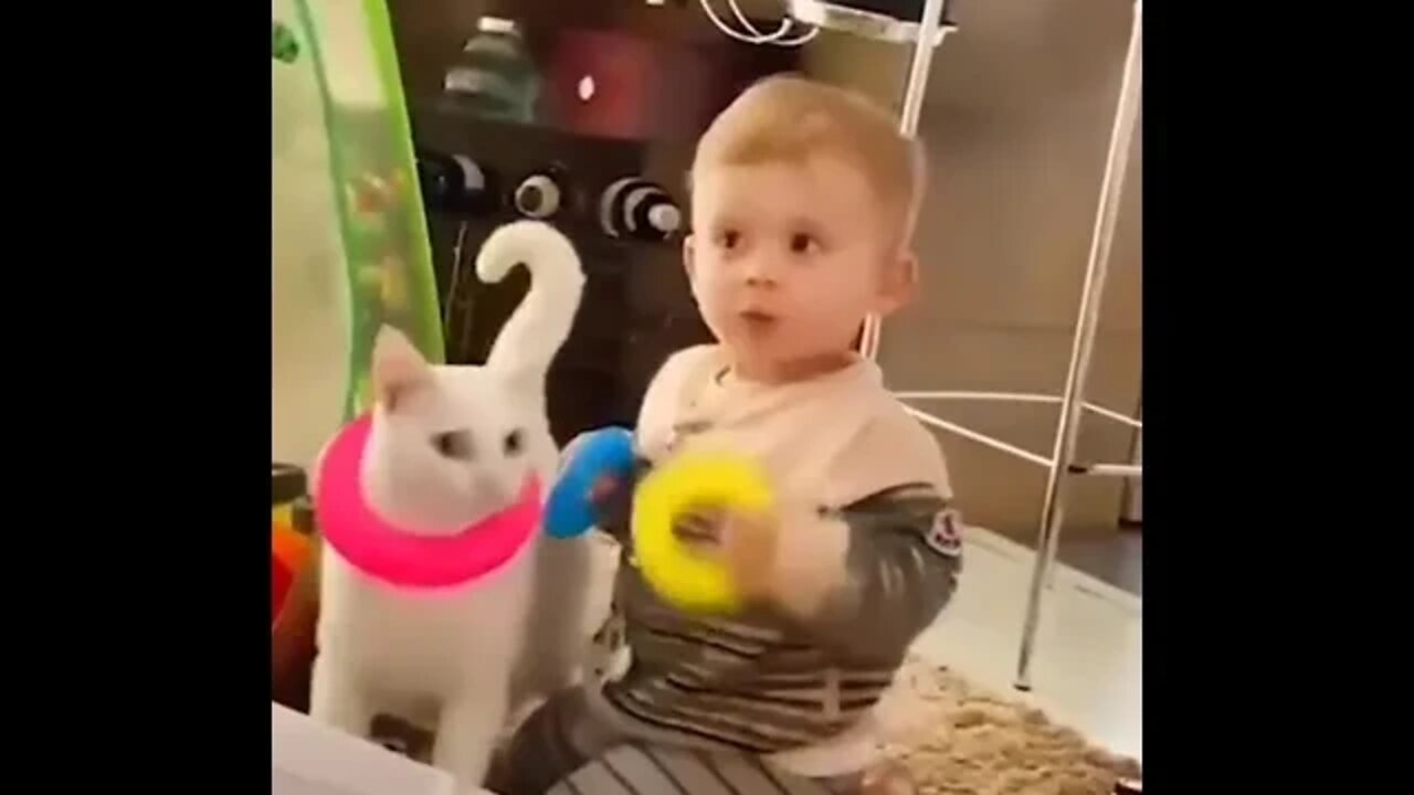 pets playing with kids