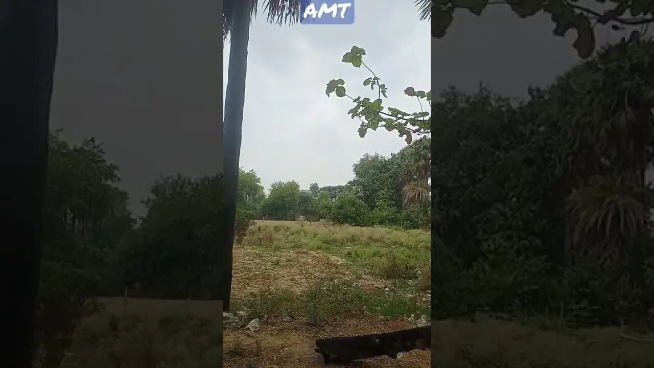 Aaj Mausam WhatsApp status old song