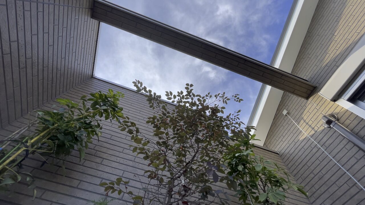 Relaxing day at my balcony