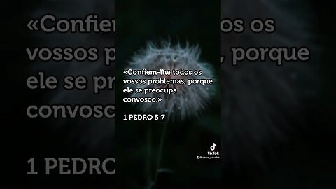 1 Pedro 5:7 #canalyausha #short #youtube #youtuber #portugues #palop #brazil #fofoca #yausha #jesus