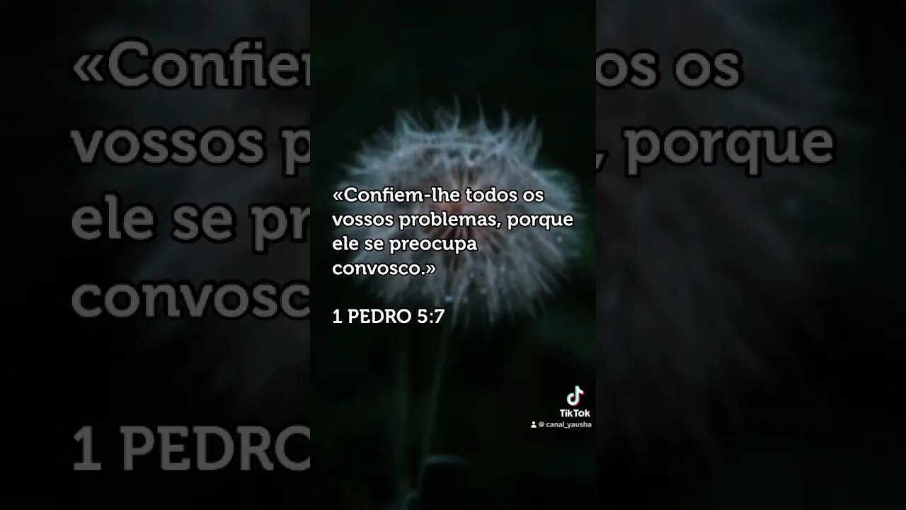 1 Pedro 5:7 #canalyausha #short #youtube #youtuber #portugues #palop #brazil #fofoca #yausha #jesus