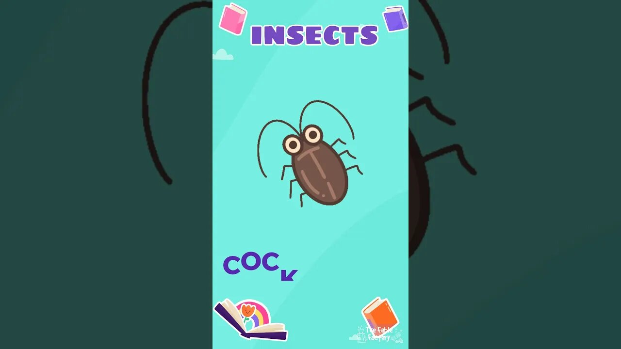 Insects 🐝🐞🐜
