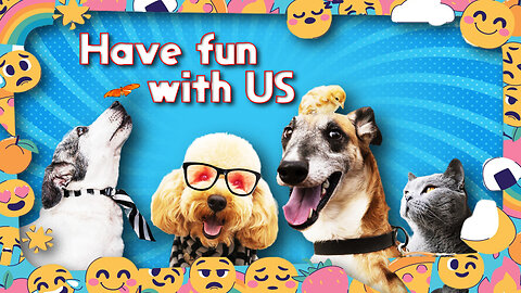 Funny pets