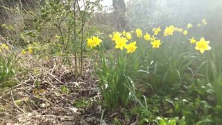 Slaithwaite Spa recreation ground