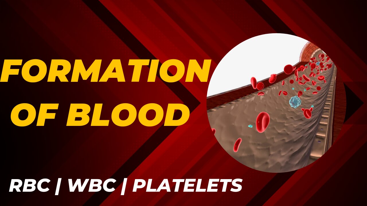 Formation Of Blood | RBC | WBC |PLATELETS |AKScienceWorld