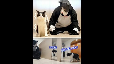 ‘PLAYS’ a PRANK ON ‘CAT’ with ‘Big Cat Mask’
