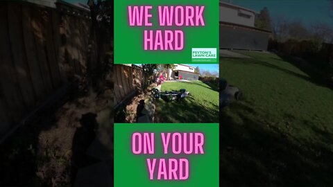 👍👧 In this video, I'm just going to be mowing the lawn.