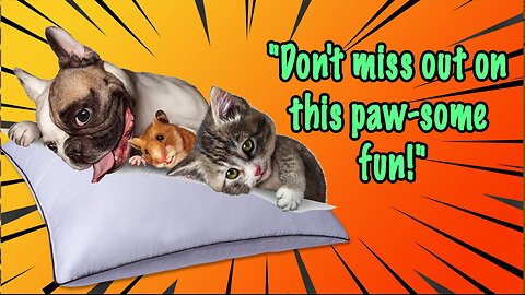 The Ultimate Cat and Dog Comedy Showdown! 😂"