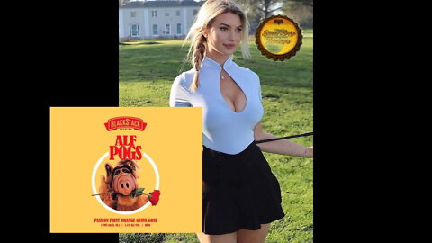ALF POGS from BlackStack