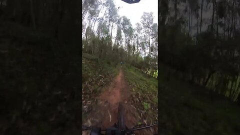 Mountain Bike - Circuito de manutenção 2 parte
