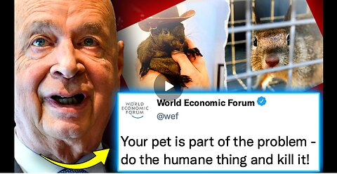 WEF käskee teurastamaan lemmikkieläimet, jotka omistavat kansalaiset, joilla