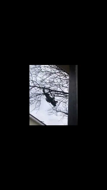 ★★★ Russian KA-52 Alligator attacks target in Ukraine