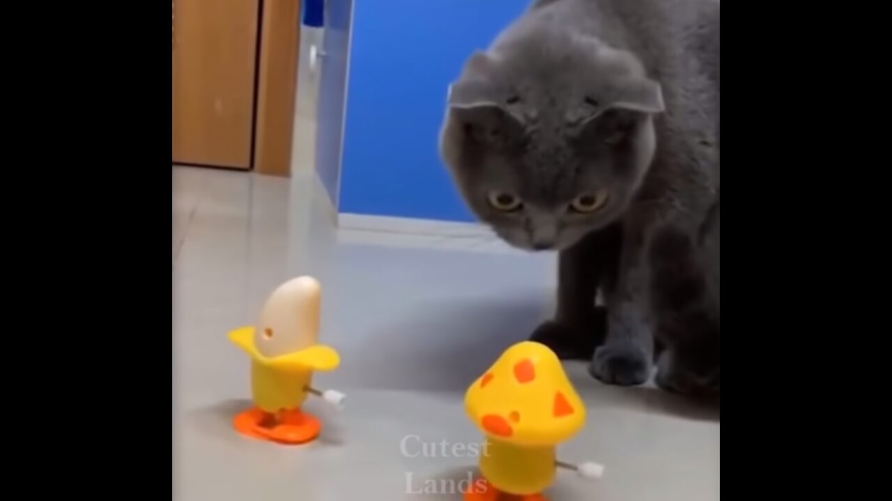 Cute And Funny Pets Compilation [April 2021]